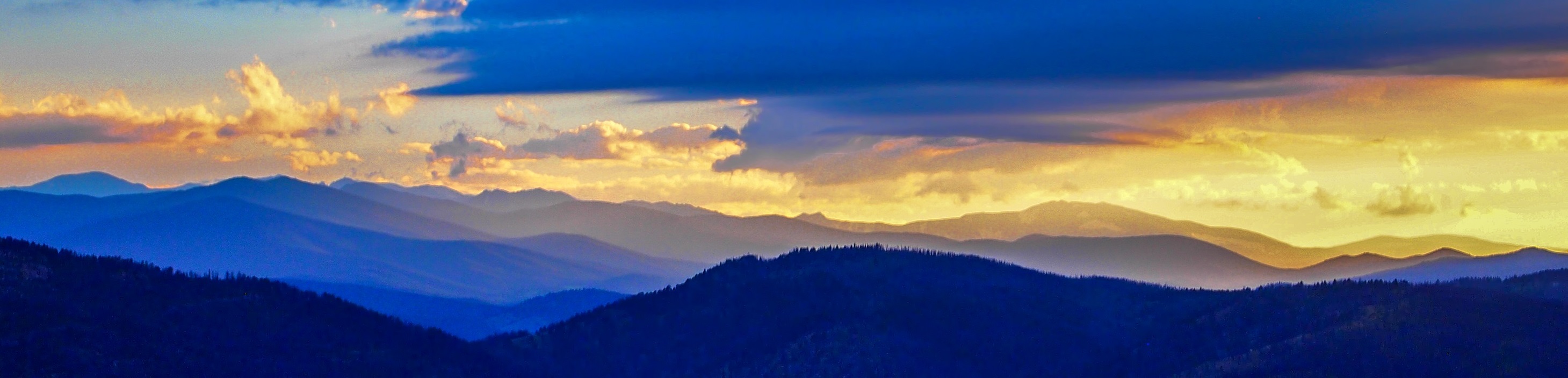 Public profile header image