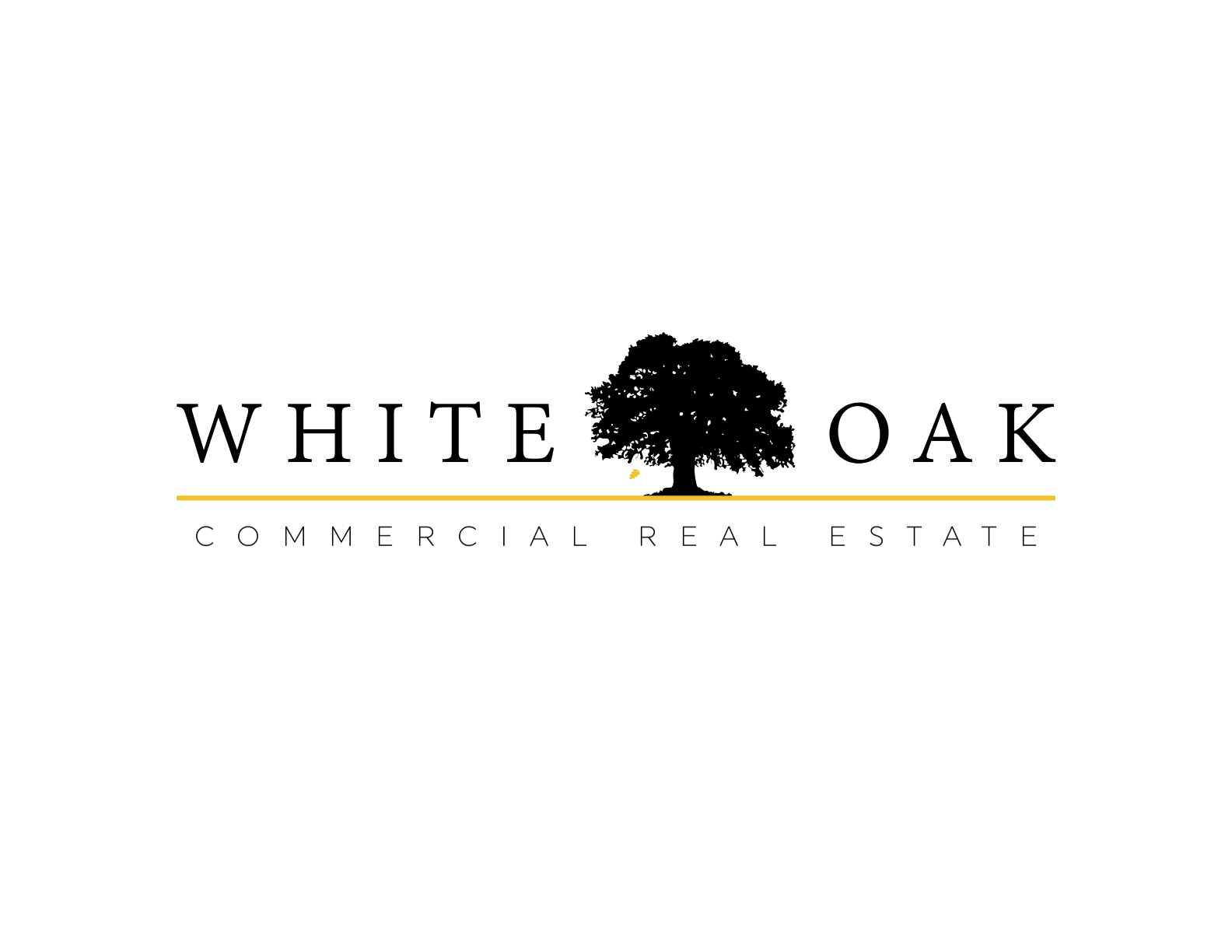 Public profile header image