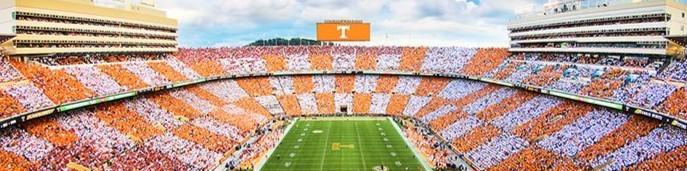 Public profile header image
