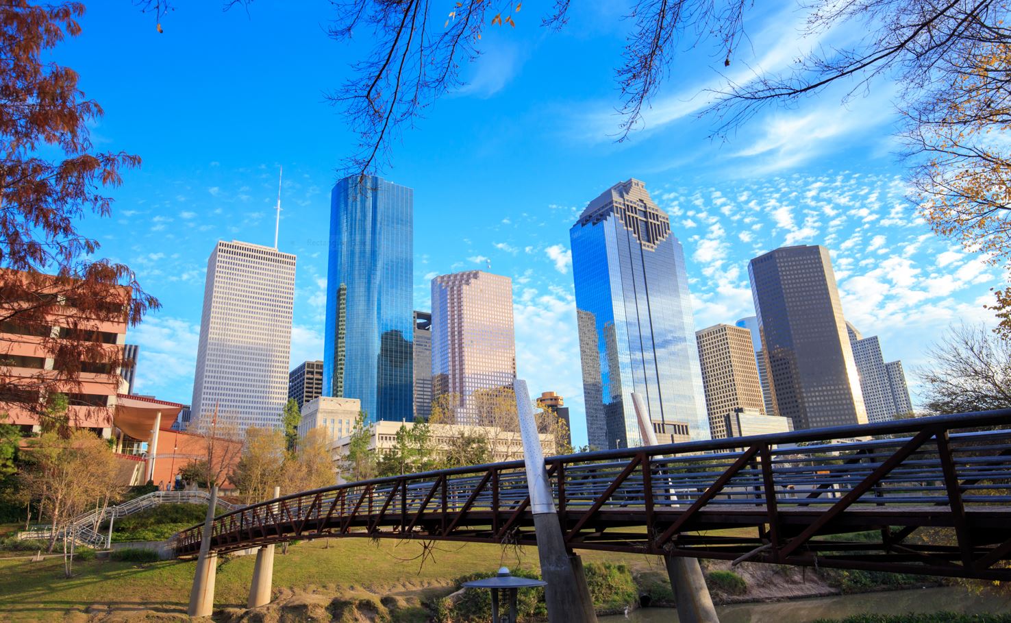 Public profile header image