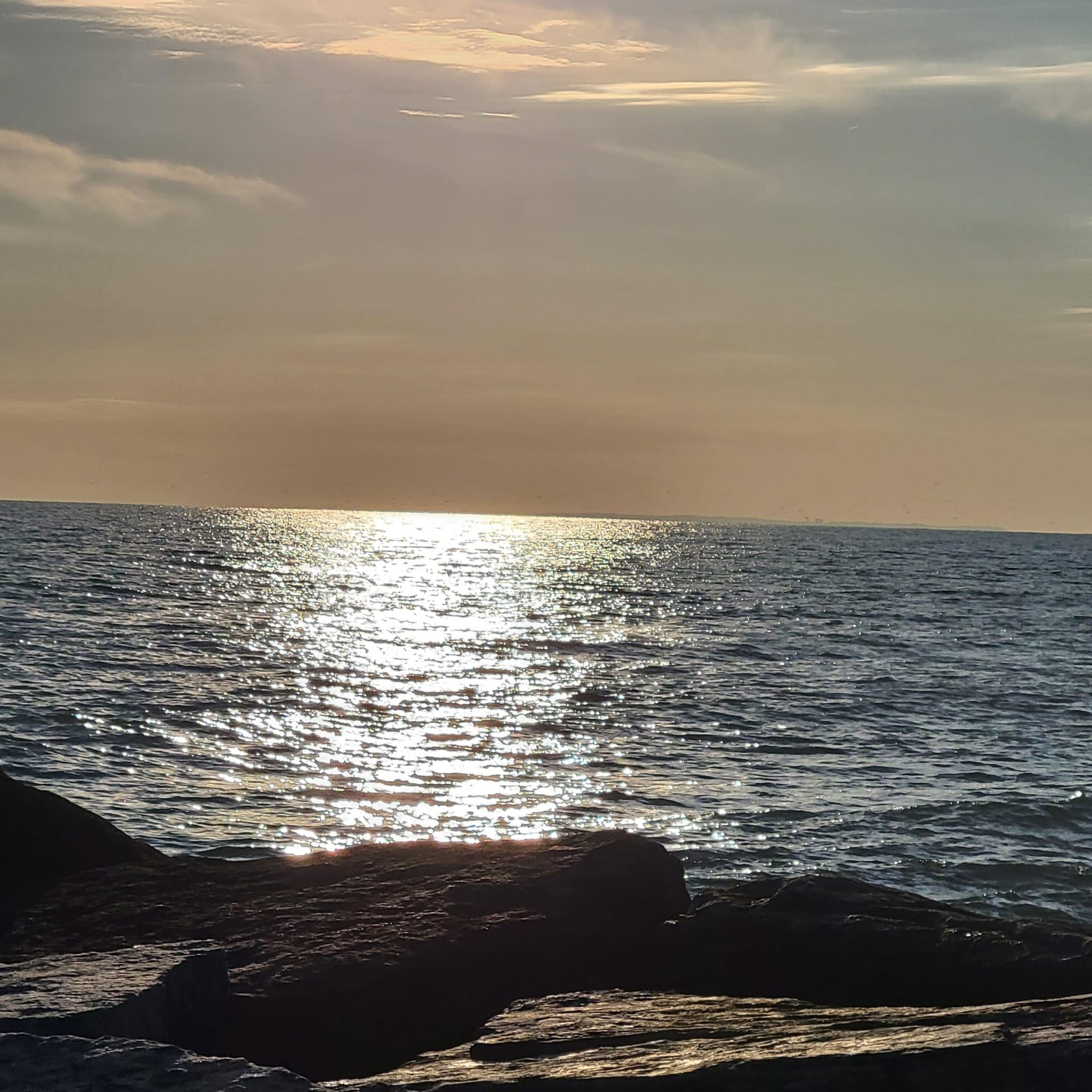 Public profile header image