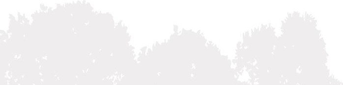 Public profile header image