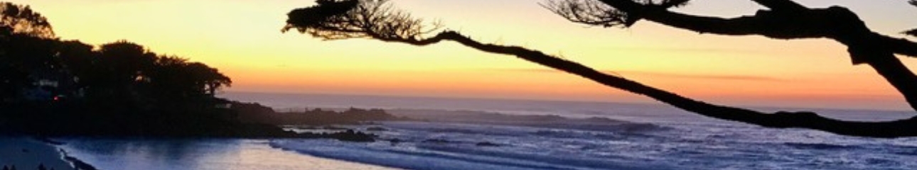 Public profile header image