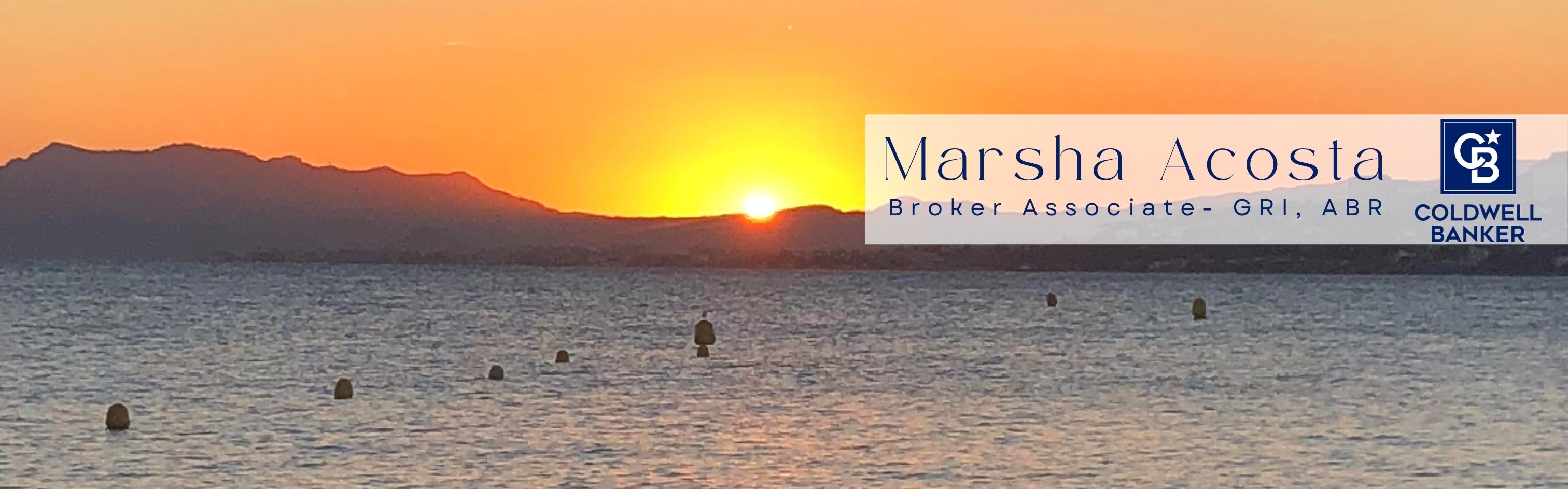 Public profile header image