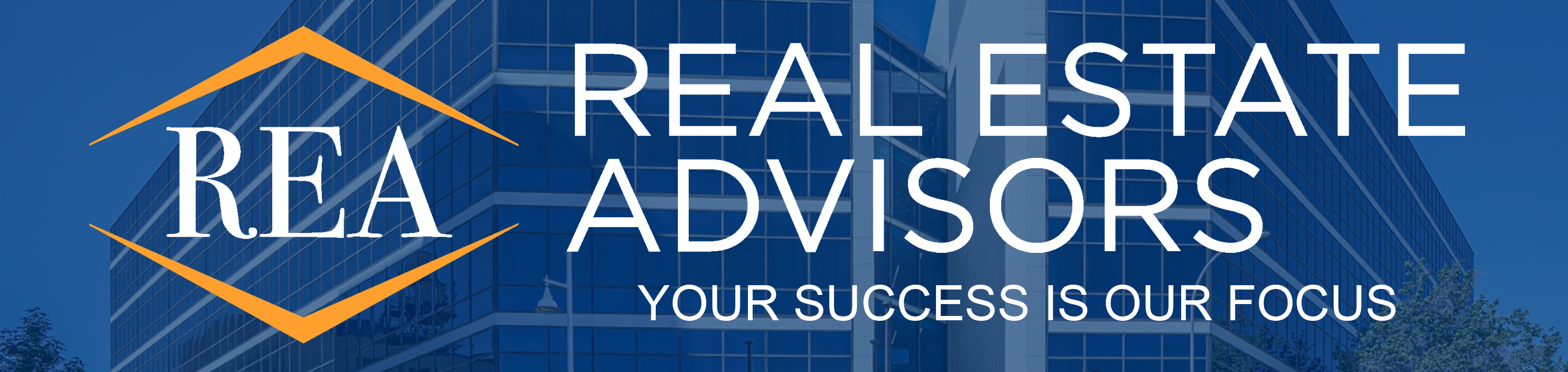 Public profile header image