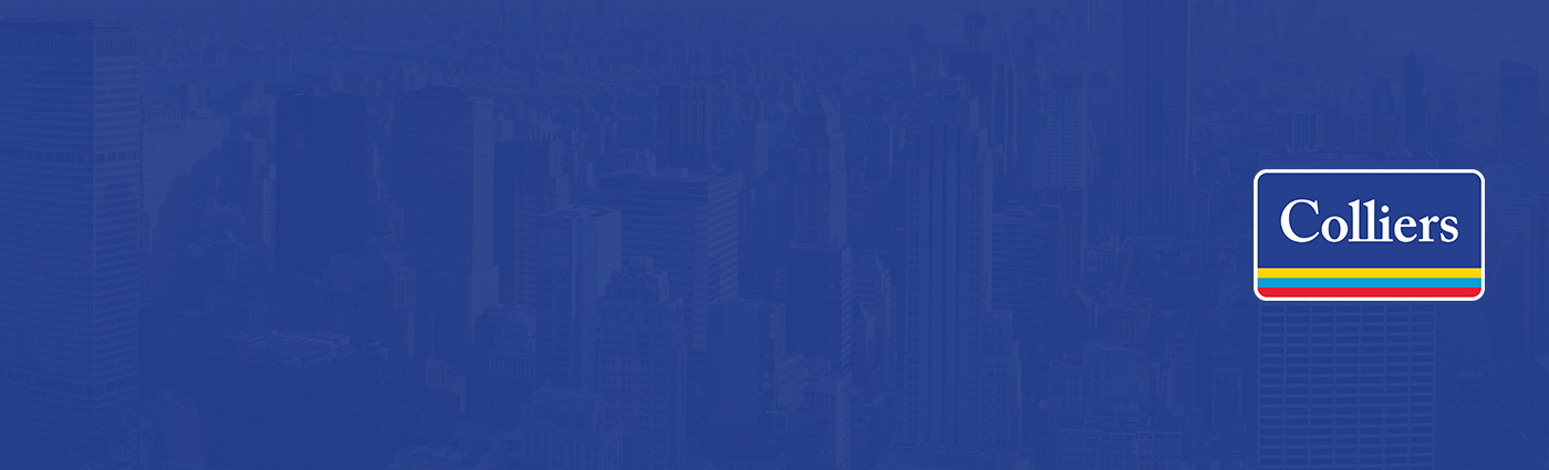Public profile header image