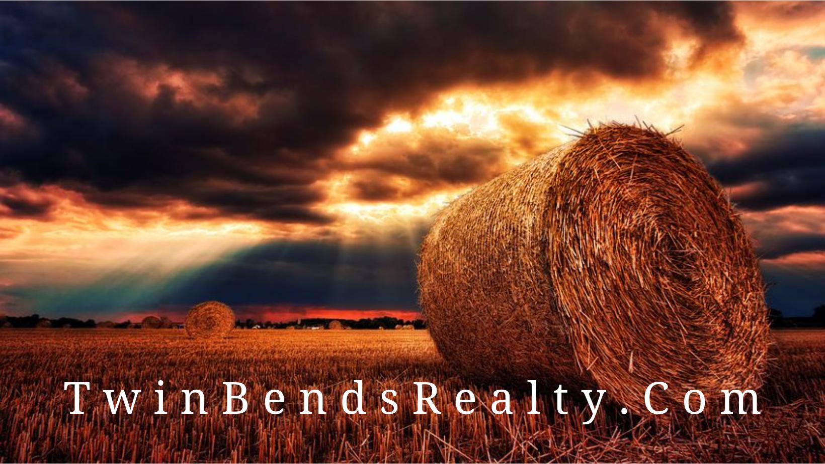 Public profile header image