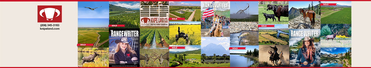 Public profile header image