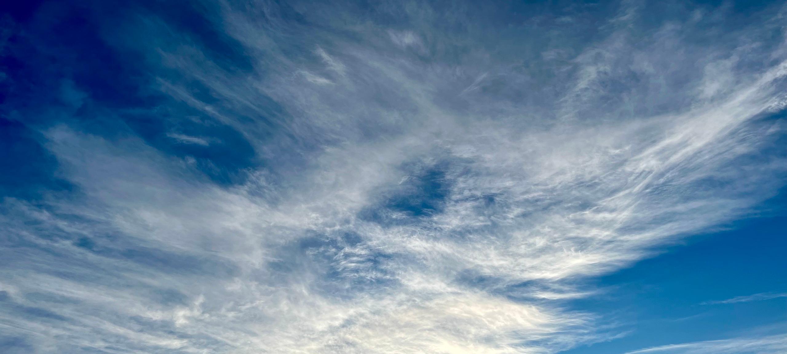 Public profile header image