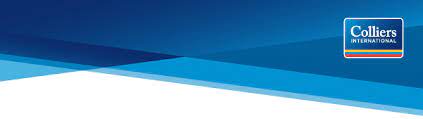 Public profile header image