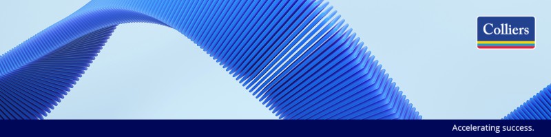 Public profile header image