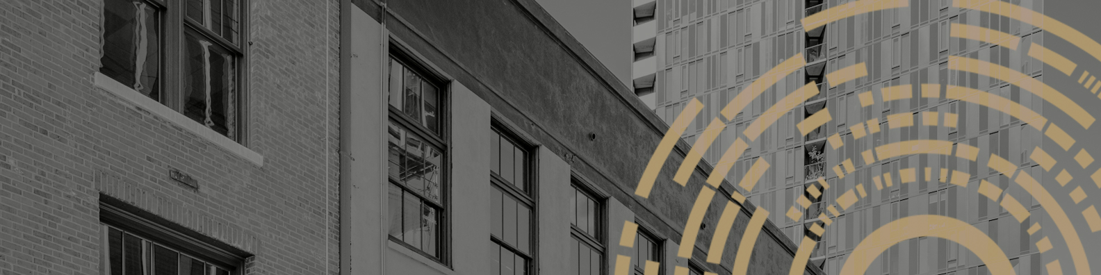 Public profile header image