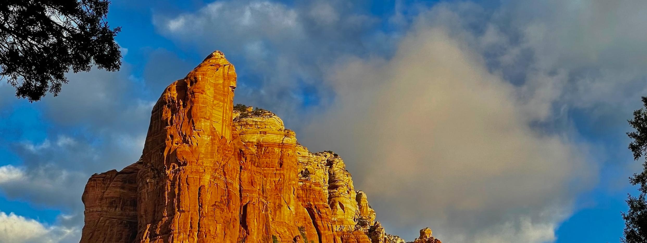 Public profile header image