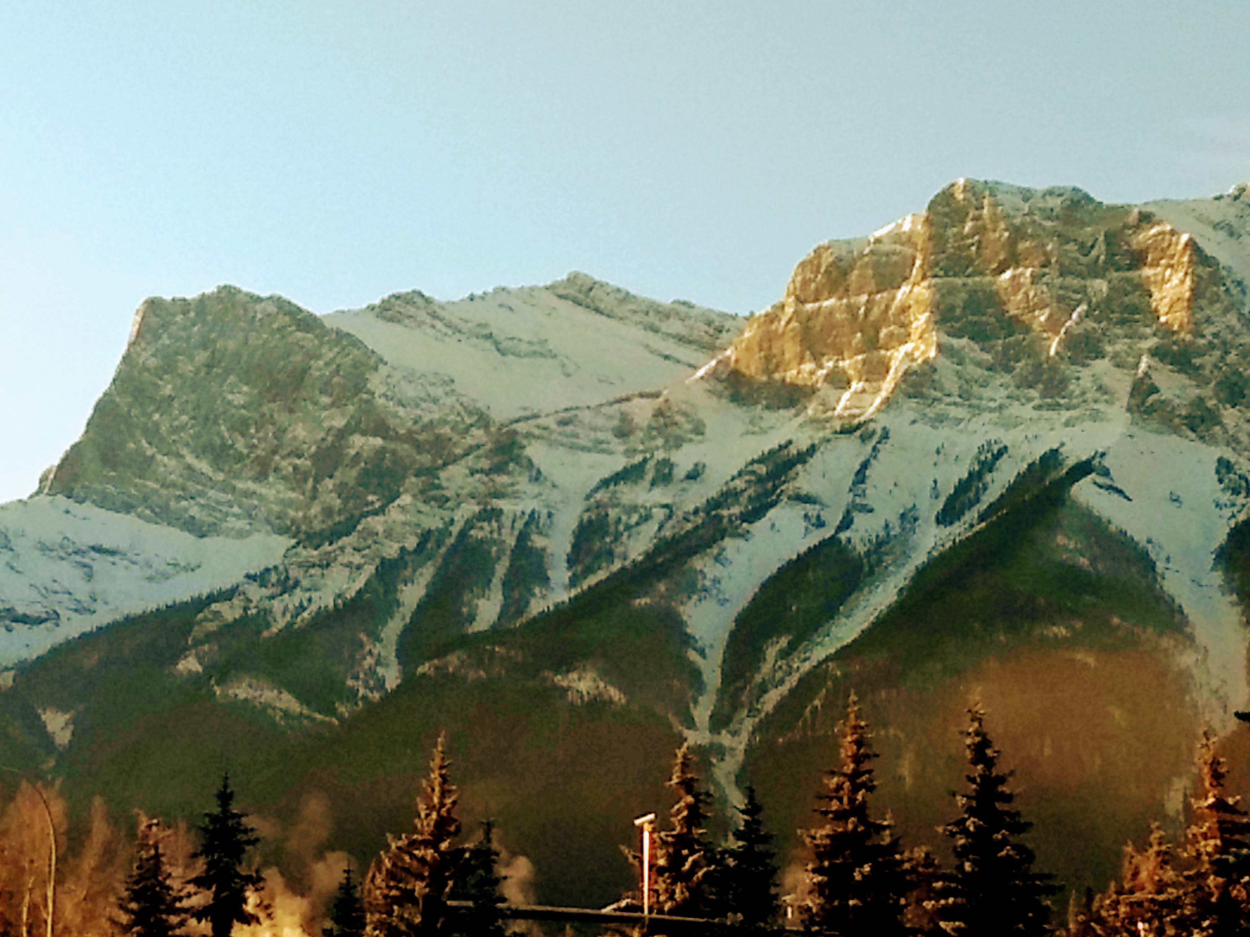 Public profile header image