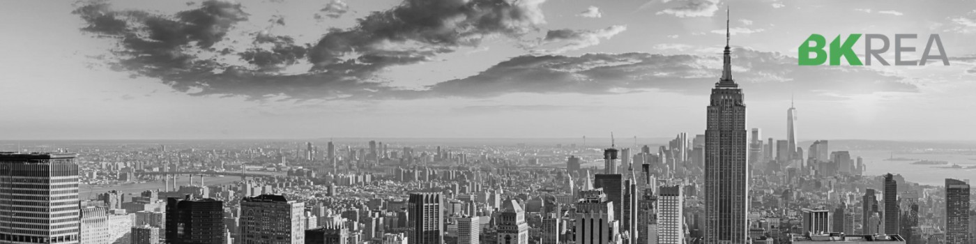 Public profile header image