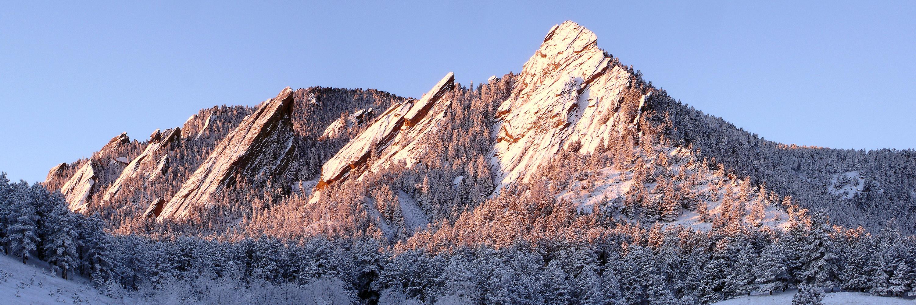 Public profile header image