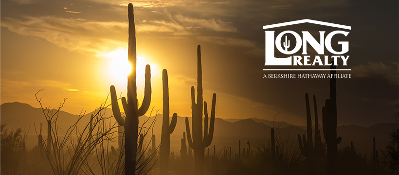 Public profile header image