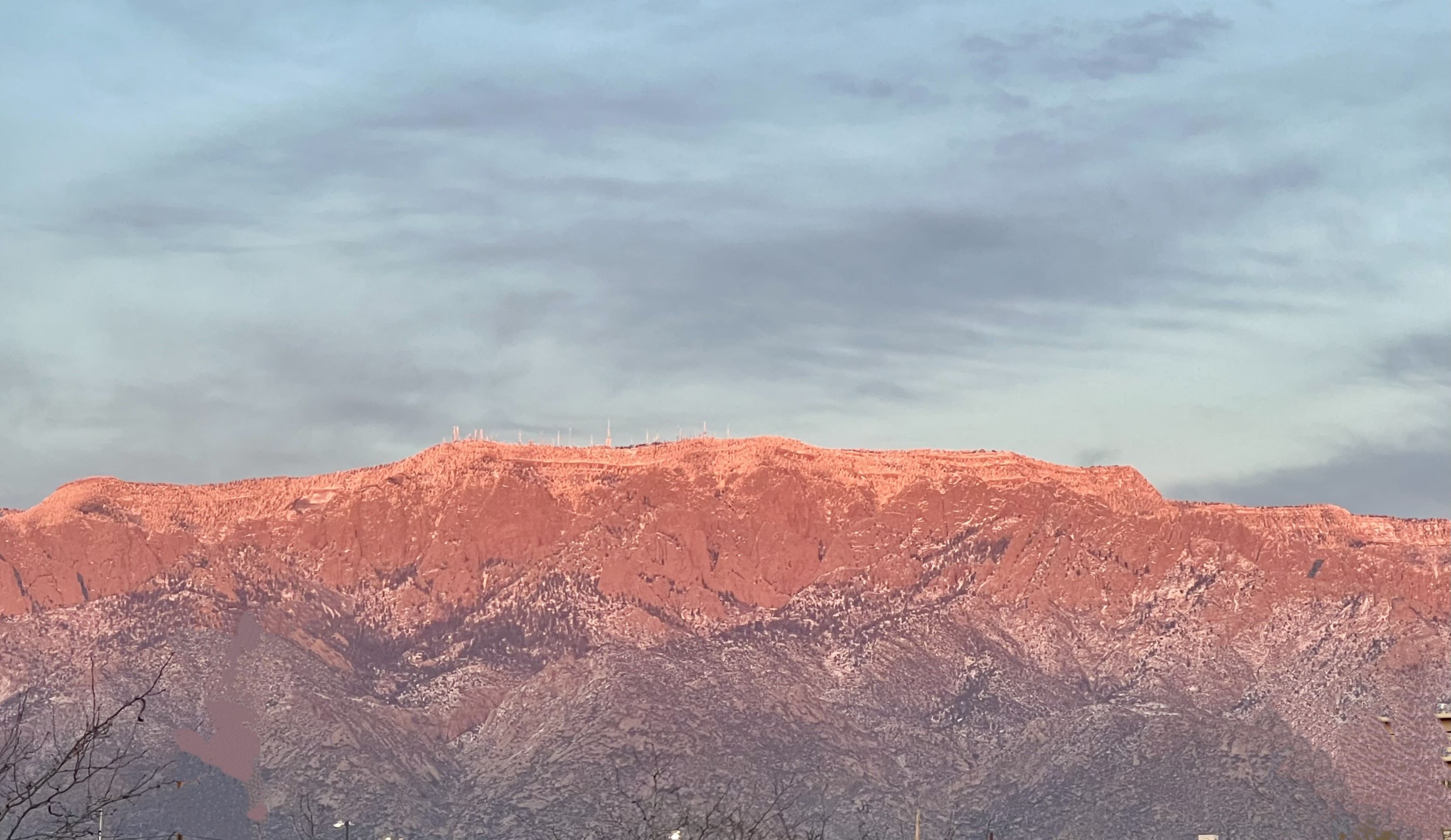 Public profile header image