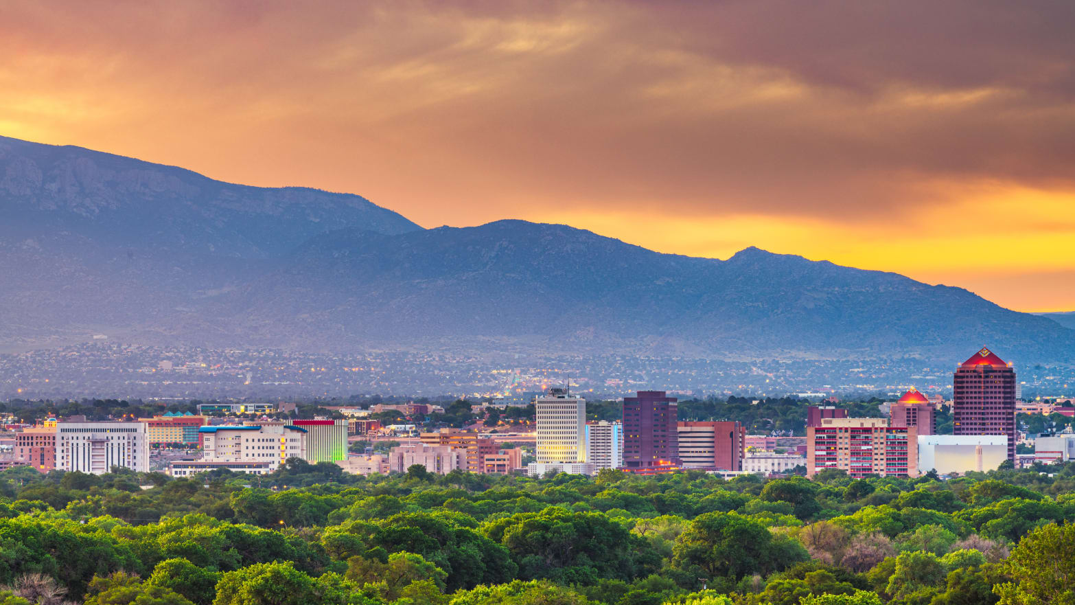 Public profile header image