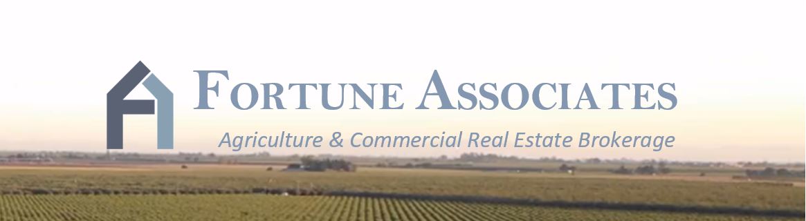 Public profile header image
