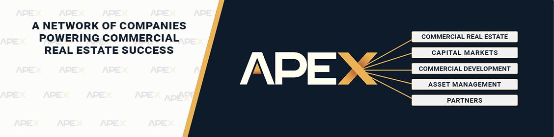 Public profile header image