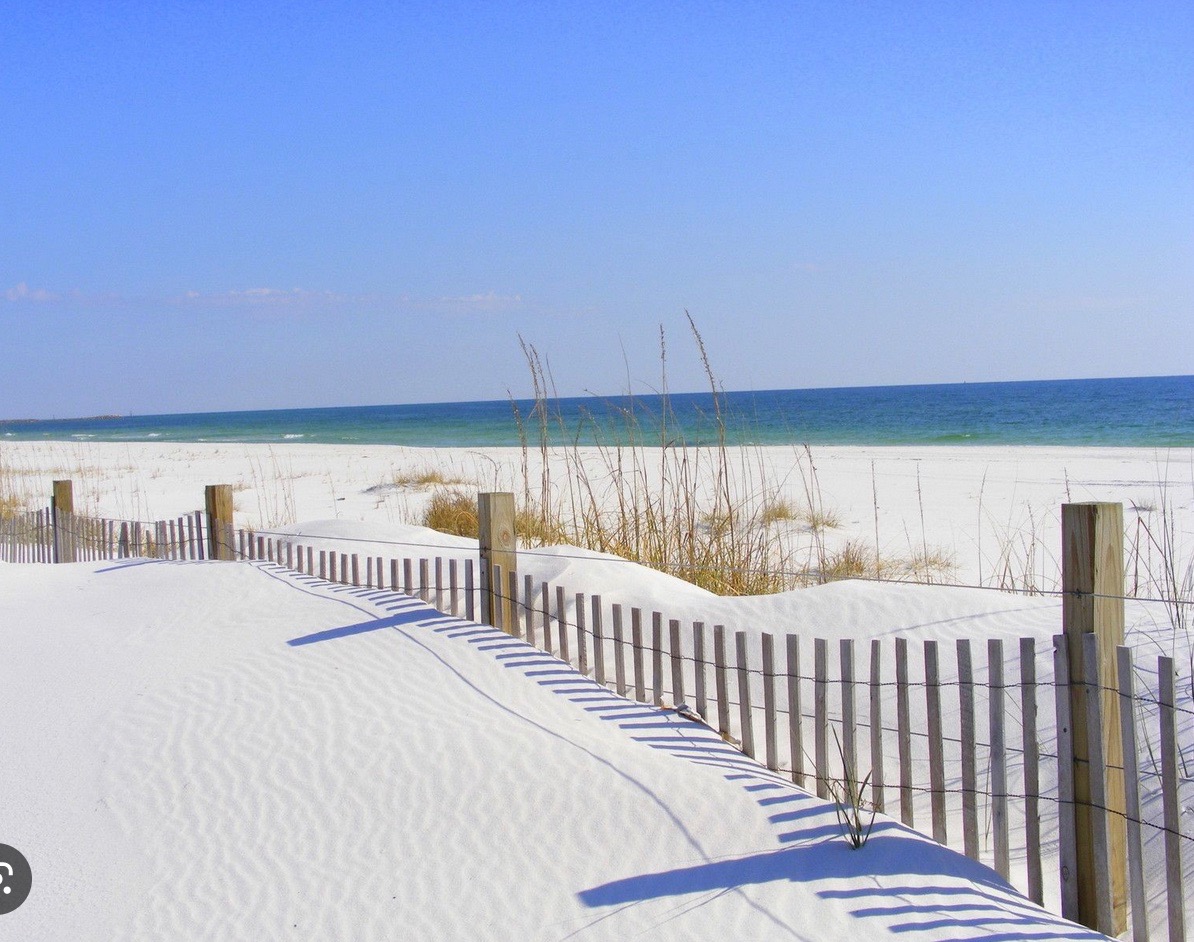 Public profile header image