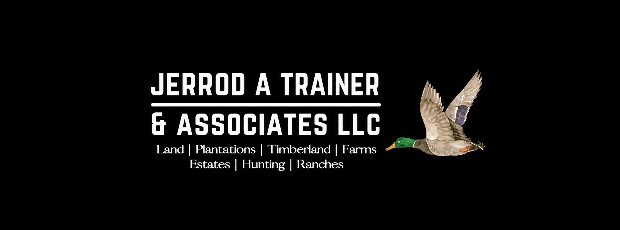 Public profile header image