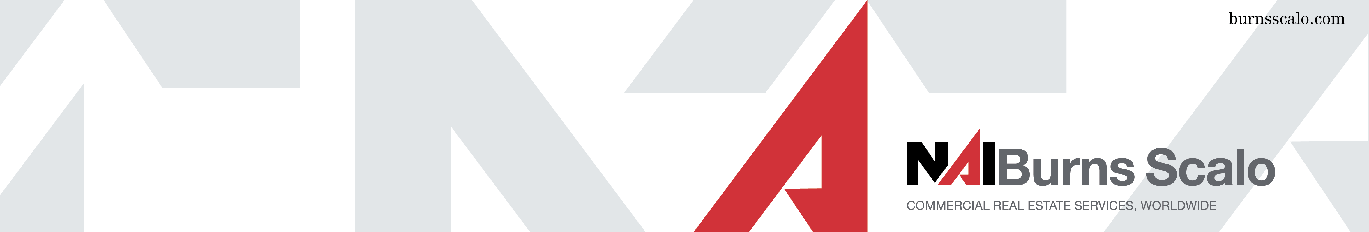 Public profile header image