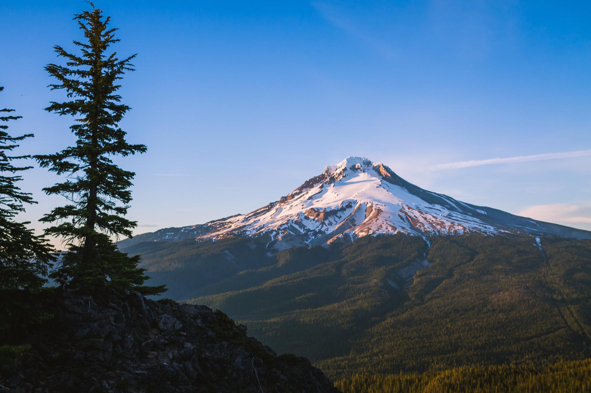 Public profile header image