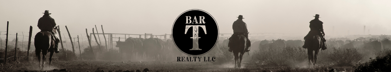 Public profile header image
