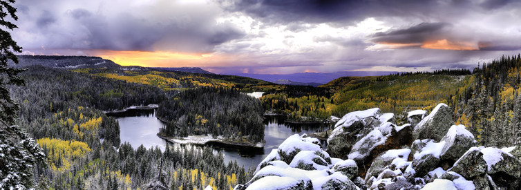 Public profile header image