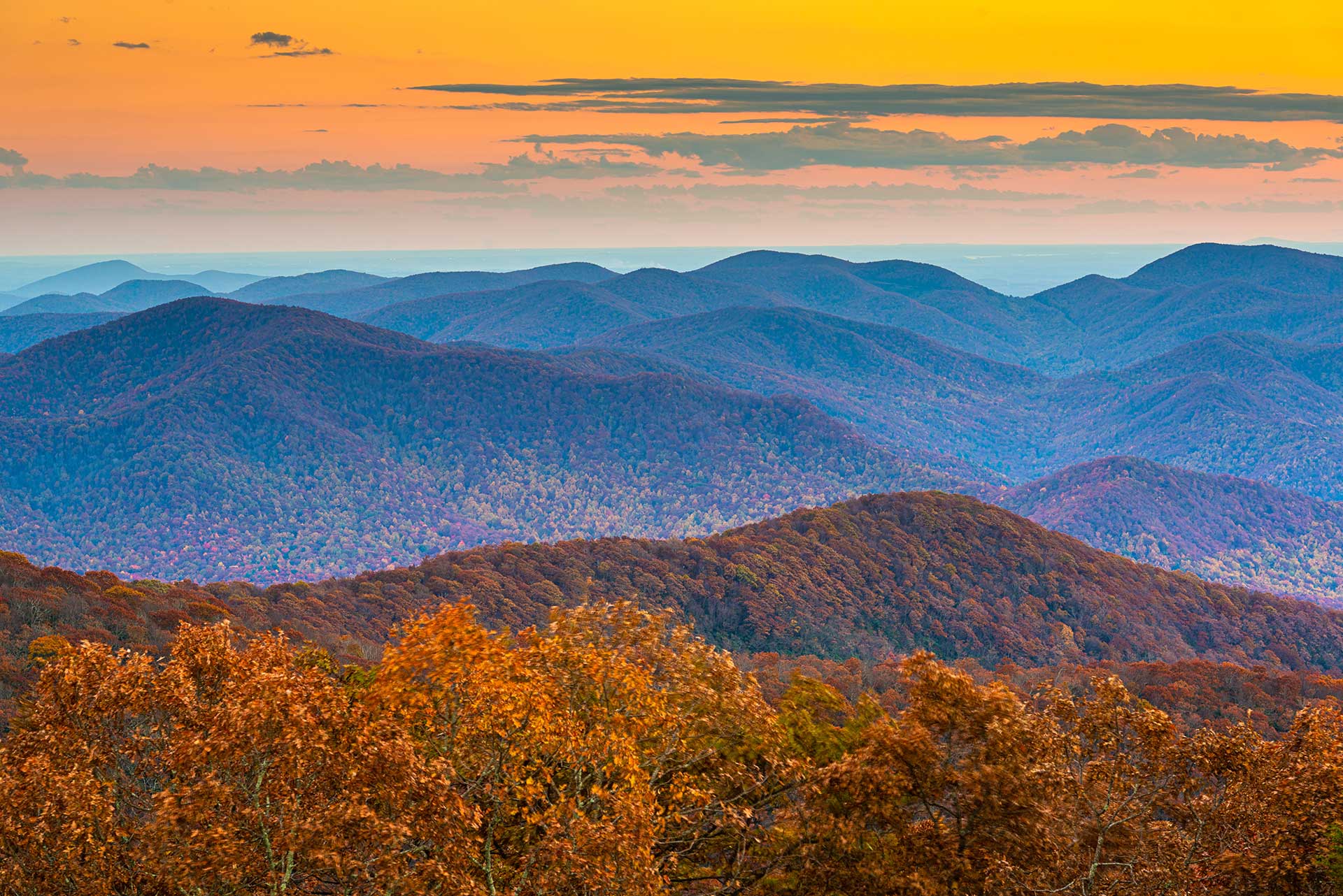 Public profile header image