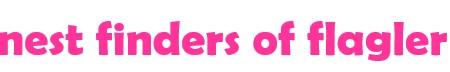 Public profile header image