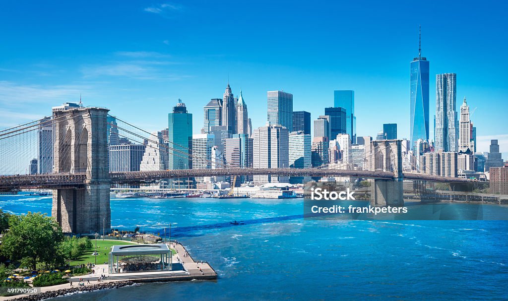 Public profile header image