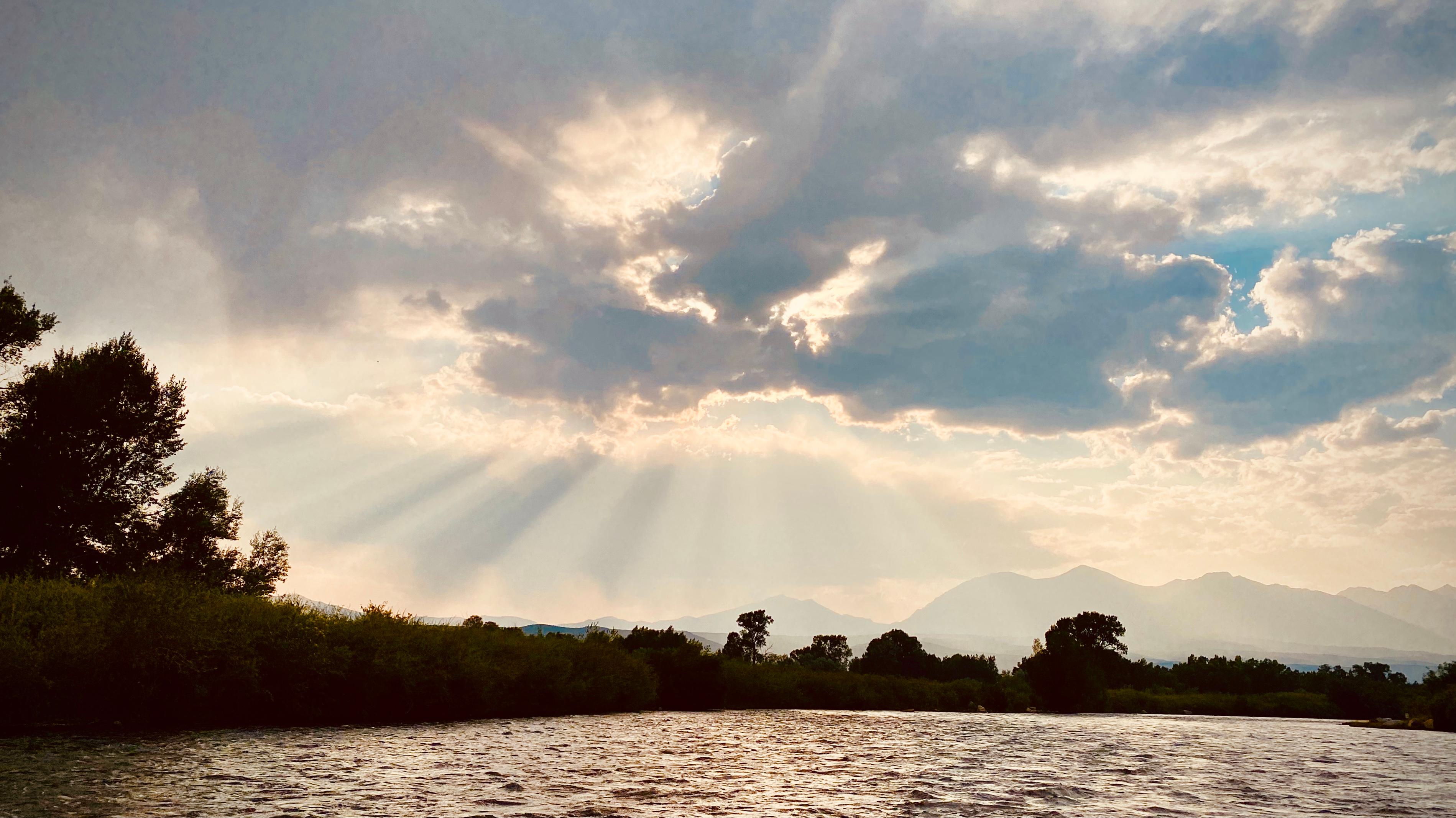 Public profile header image