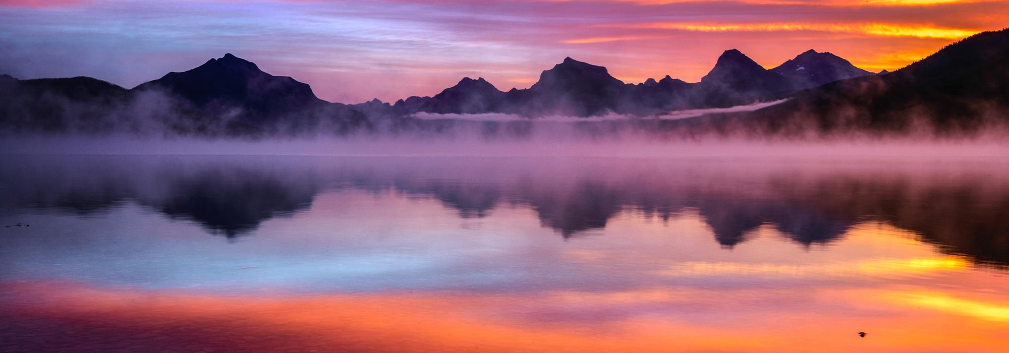 Public profile header image
