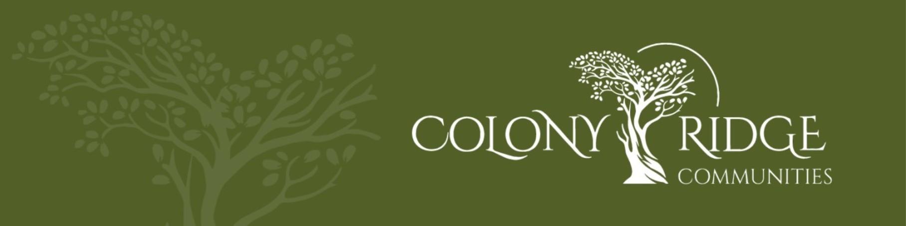 Public profile header image