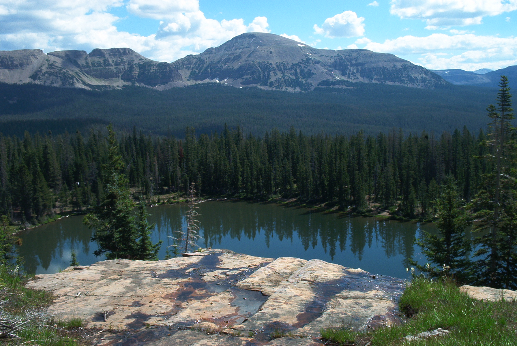 Public profile header image