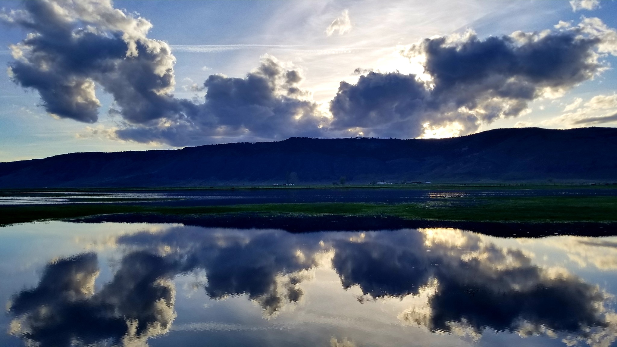 Public profile header image
