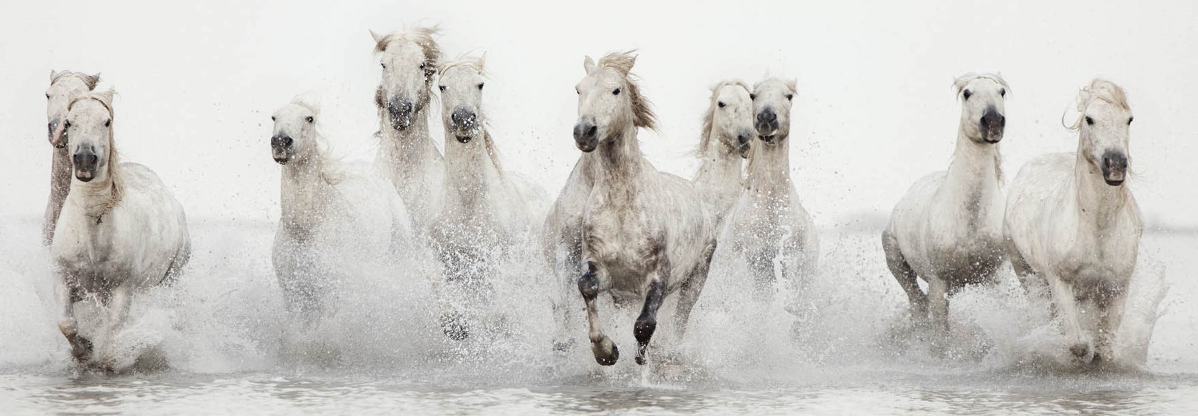 Public profile header image