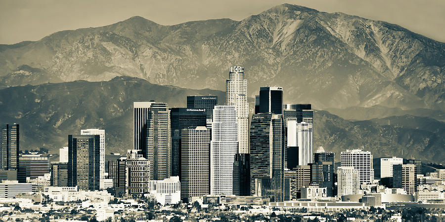 Public profile header image