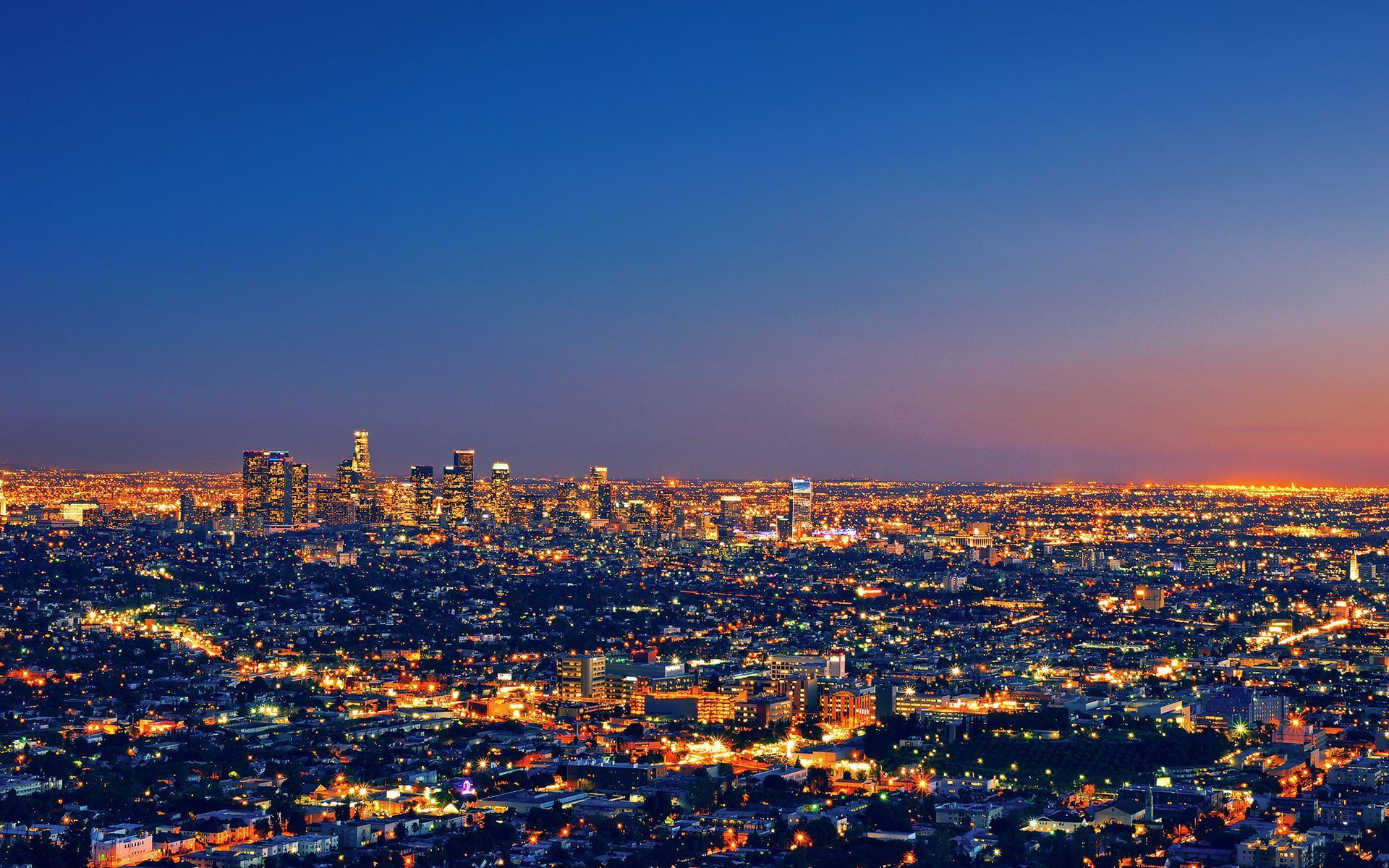 Public profile header image