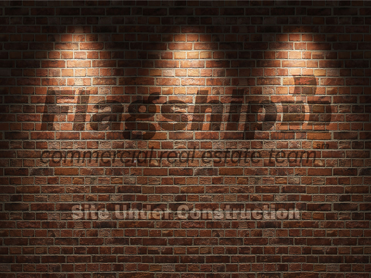 Public profile header image