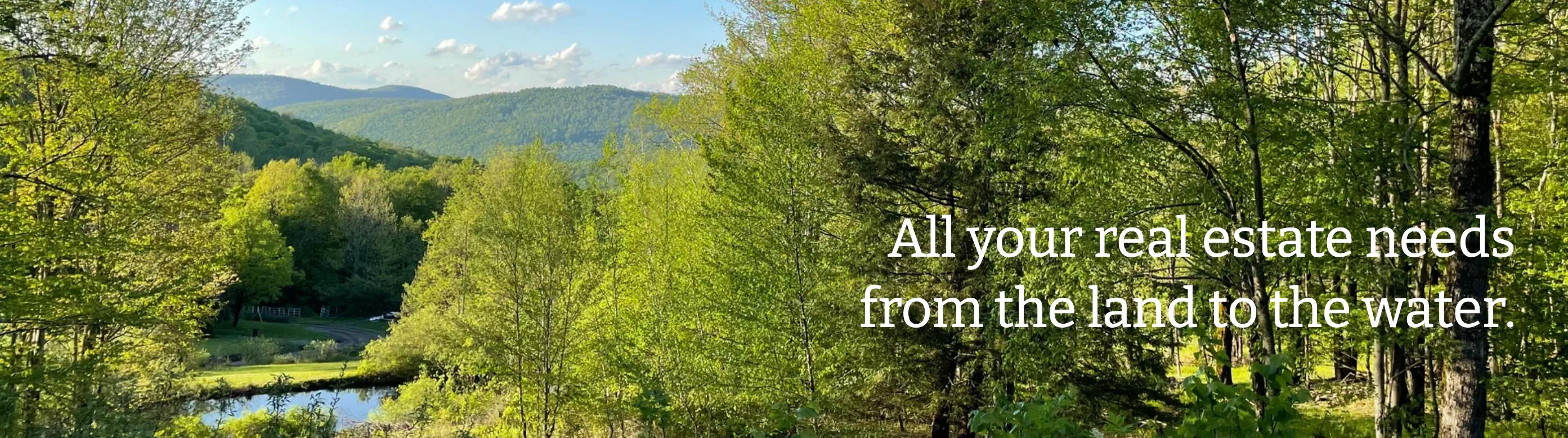 Public profile header image