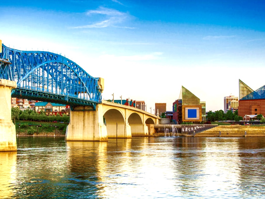 Public profile header image