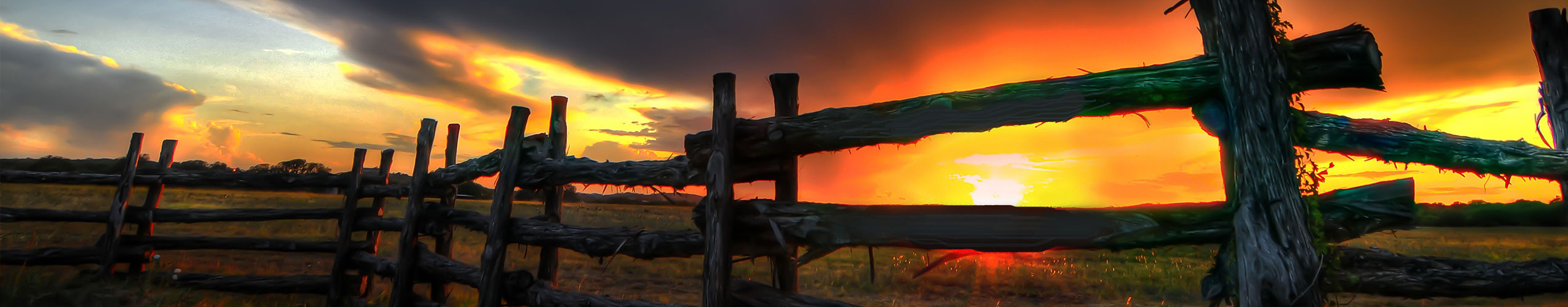 Public profile header image