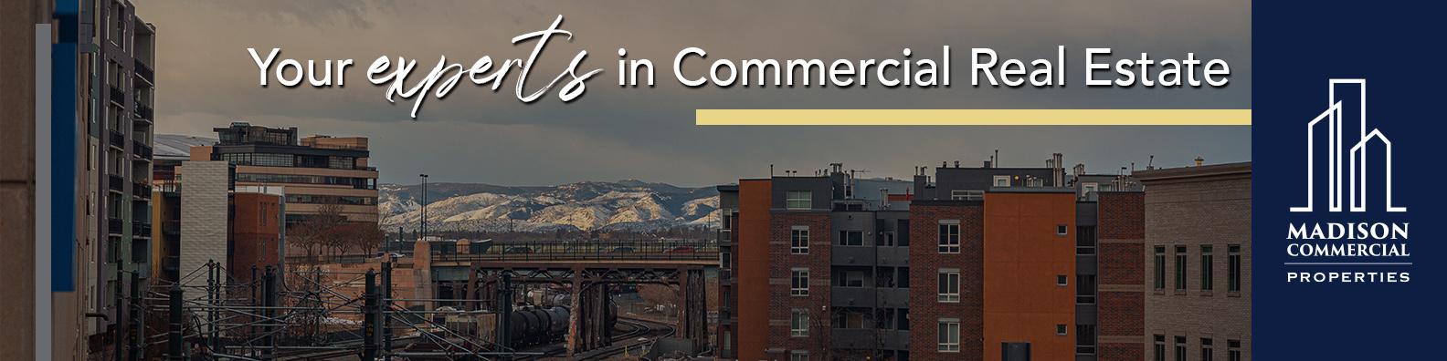 Public profile header image
