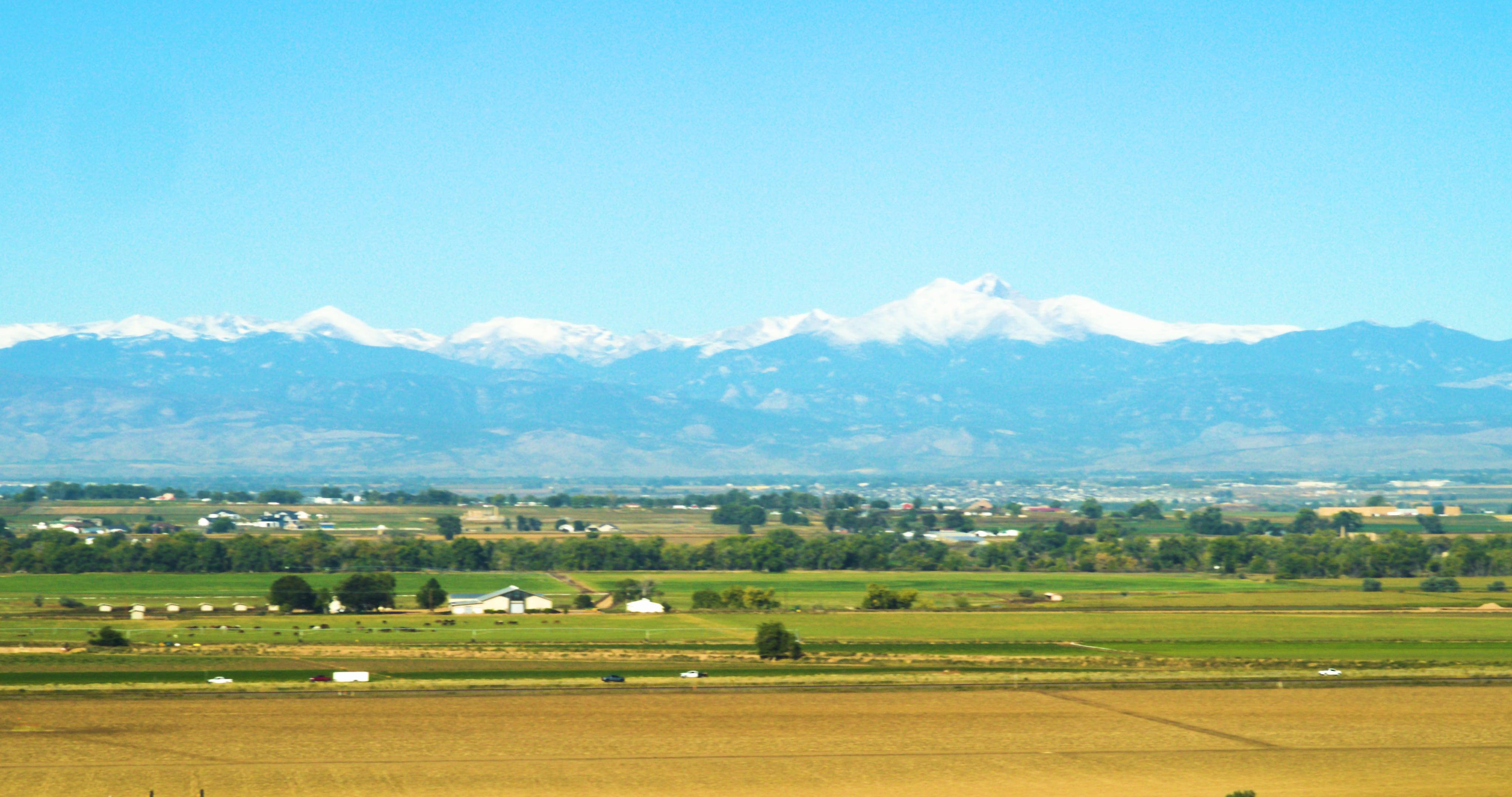 Public profile header image