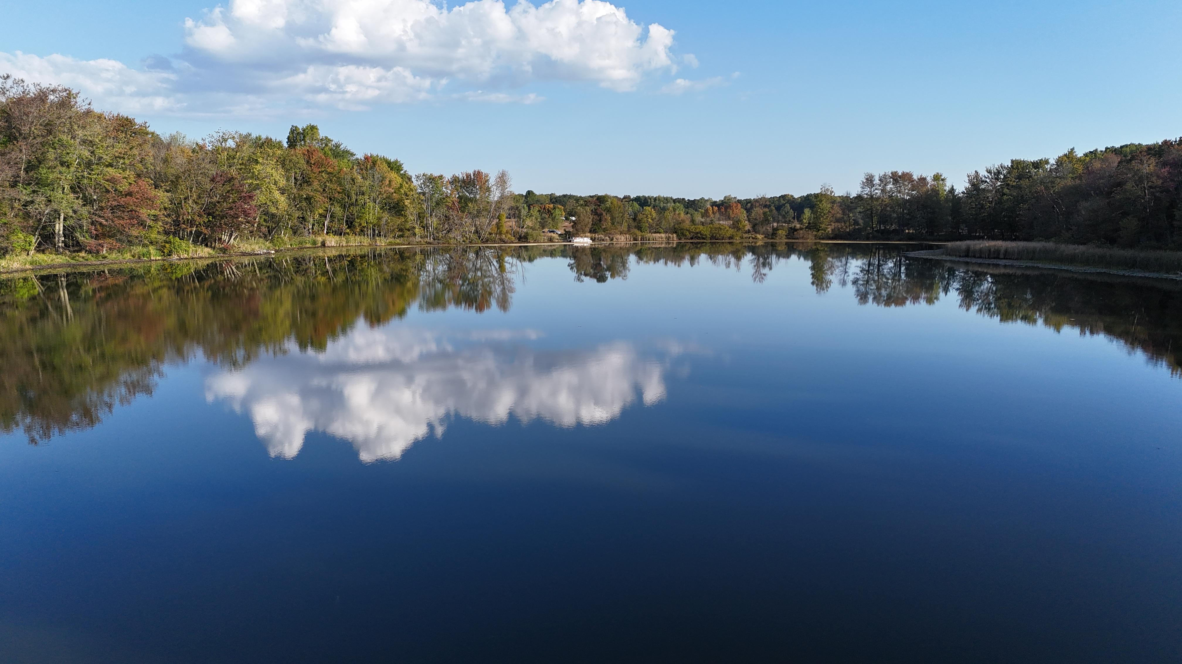 Public profile header image