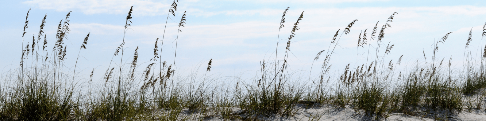 Public profile header image